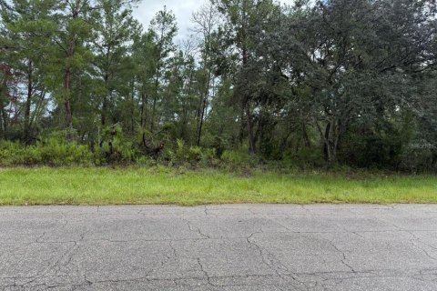 Terrain à vendre à Ocala, Floride № 1913992 - photo 2