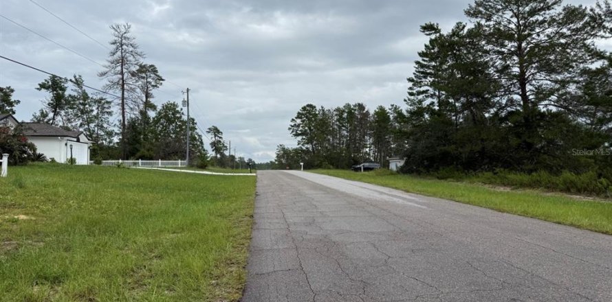 Terrain à Ocala, Floride № 1913992
