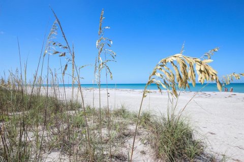 Land in Placida, Florida № 1812969 - photo 7