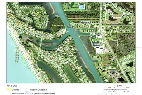 Land in Placida, Florida № 1812969 - photo 3