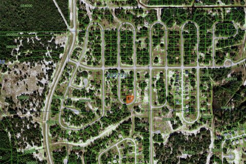 Terrain à Poinciana, Floride № 2223854