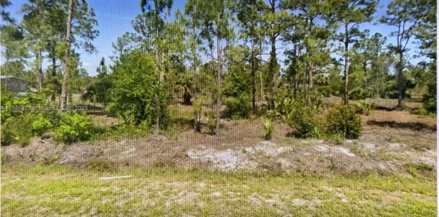 Terrain à Clewiston, Floride № 1936055
