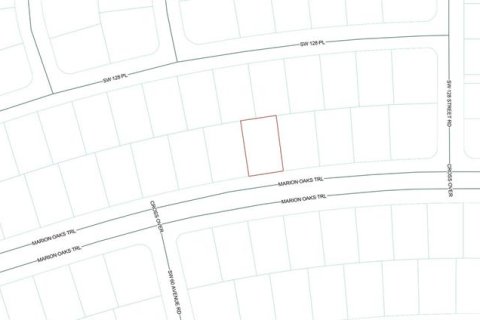 Land in Ocala, Florida № 2161324 - photo 6