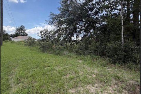 Land in Ocala, Florida № 2161324 - photo 5