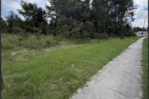 Land in Ocala, Florida № 2161324