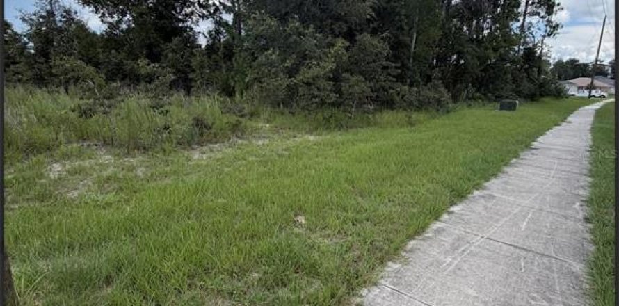 Land in Ocala, Florida № 2161324