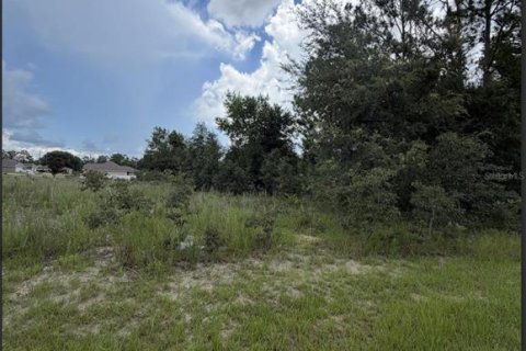 Land in Ocala, Florida № 2161324 - photo 4