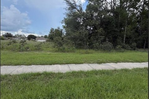 Land in Ocala, Florida № 2161324 - photo 3
