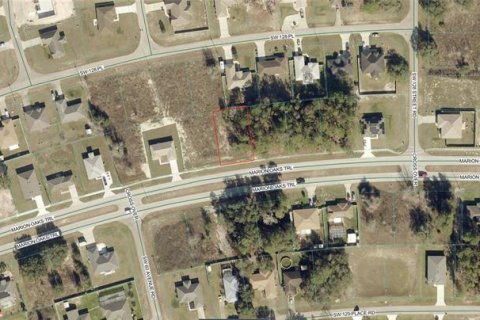 Land in Ocala, Florida № 2161324 - photo 2