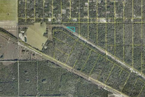 Land in Hastings, Florida № 2370879 - photo 3