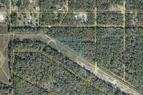 Land in Hastings, Florida № 2370879 - photo 2