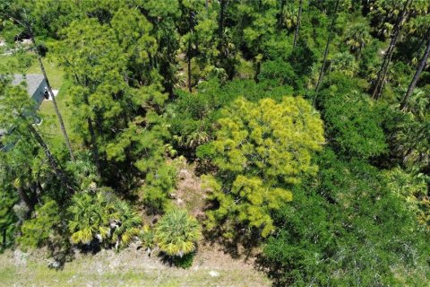 Terrain à Port Charlotte, Floride № 2159528