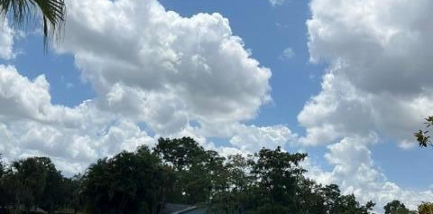 Immobilier commercial à Wellington, Floride № 2087873