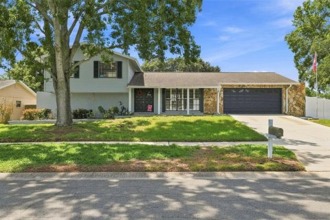 House in Tampa, Florida 4 bedrooms, 158.86 sq.m. № 2312267
