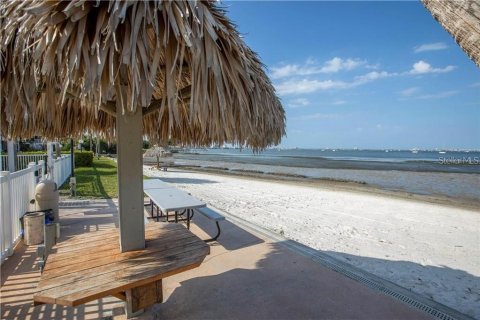Copropriété à louer à Saint Petersburg, Floride: 2 chambres, 102.19 m2 № 2415356 - photo 2