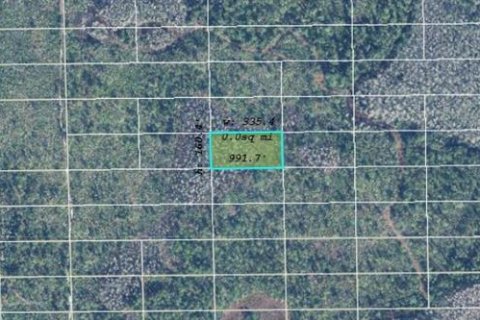 Land in Orlando, Florida № 2219128 - photo 2