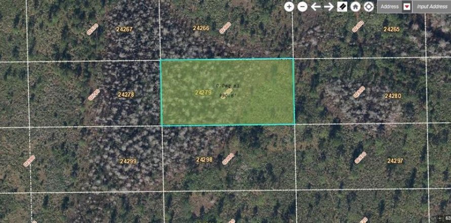 Land in Orlando, Florida № 2219128