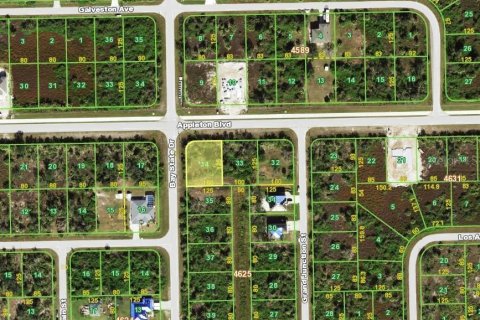 Land in Port Charlotte, Florida № 2162746 - photo 2