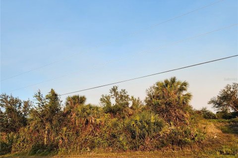 Land in Port Charlotte, Florida № 2162746 - photo 5