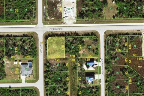 Land in Port Charlotte, Florida № 2162746 - photo 3