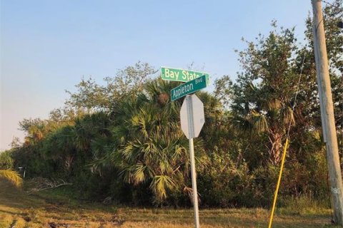 Land in Port Charlotte, Florida № 2162746 - photo 4