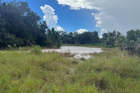 Land in Port Charlotte, Florida № 2160222 - photo 2