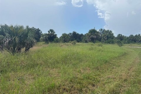 Land in Port Charlotte, Florida № 2160222 - photo 4