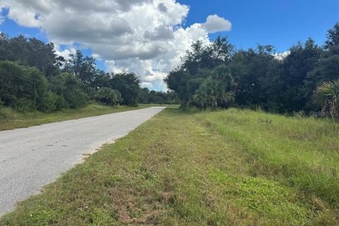 Land in Port Charlotte, Florida № 2160222 - photo 3