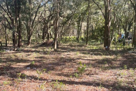 Land in Belleview, Florida № 1564908 - photo 2