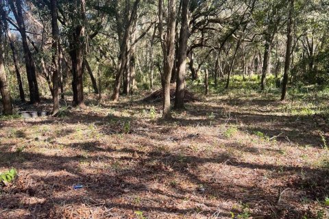 Land in Belleview, Florida № 1564908 - photo 4