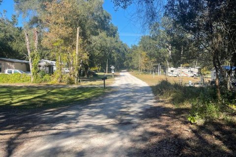 Land in Belleview, Florida № 1564908 - photo 5