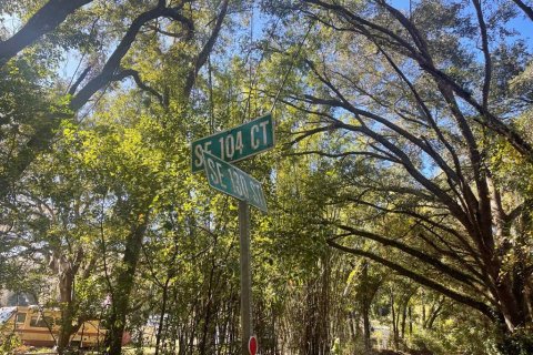 Land in Belleview, Florida № 1564908 - photo 3