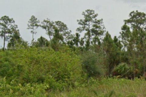 Terreno en venta en Lehigh Acres, Florida № 1935671 - foto 1