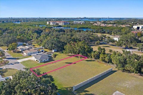 Land in Sarasota, Florida № 2104145 - photo 2