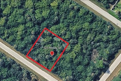 Land in Port Charlotte, Florida № 2163400 - photo 2