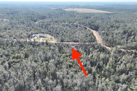 Terrain à vendre à Alford, Floride № 2388345 - photo 6