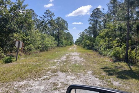 Terreno en venta en Indian lake estates, Florida № 1565152 - foto 3