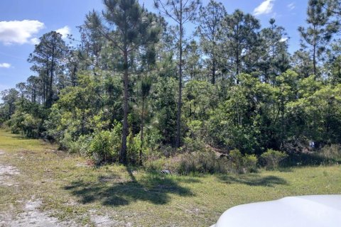 Terreno en venta en Indian lake estates, Florida № 1565152 - foto 5