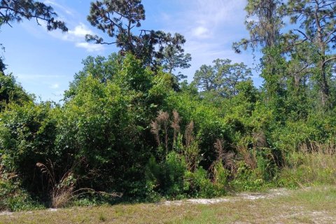 Terreno en venta en Indian lake estates, Florida № 1565152 - foto 2