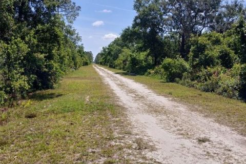Terreno en venta en Indian lake estates, Florida № 1565152 - foto 4
