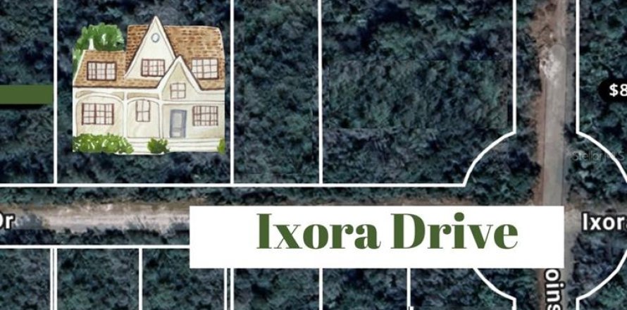 Terreno en Indian lake estates, Florida № 1565152