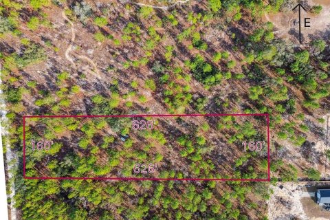 Land in Weeki Wachee, Florida № 1513719 - photo 5