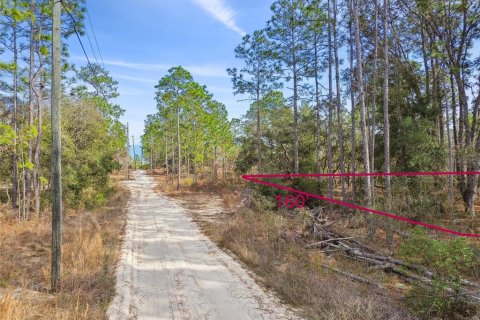 Land in Weeki Wachee, Florida № 1513719 - photo 3