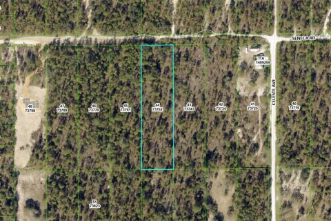 Land in Weeki Wachee, Florida № 1513719 - photo 10