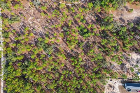 Land in Weeki Wachee, Florida № 1513719 - photo 4