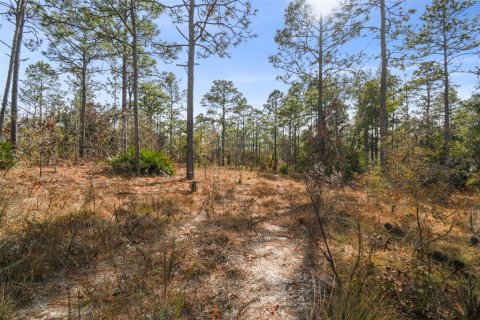 Land in Weeki Wachee, Florida № 1513719 - photo 7