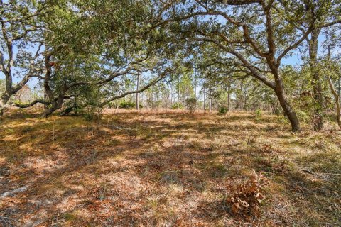 Land in Weeki Wachee, Florida № 1513719 - photo 1