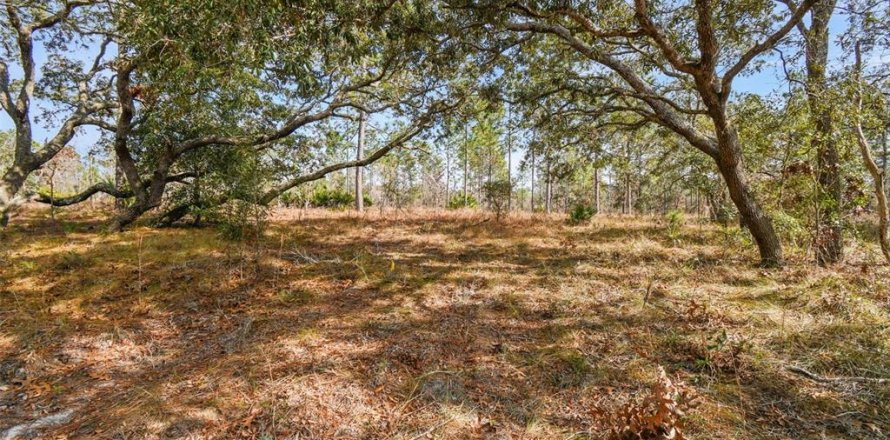 Land in Weeki Wachee, Florida № 1513719