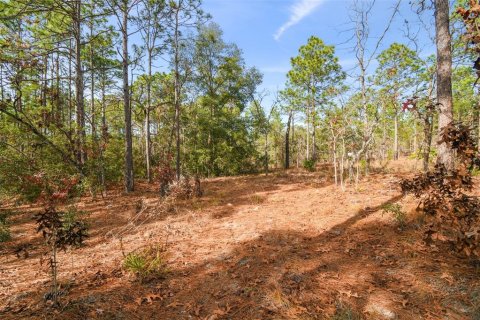 Land in Weeki Wachee, Florida № 1513719 - photo 8