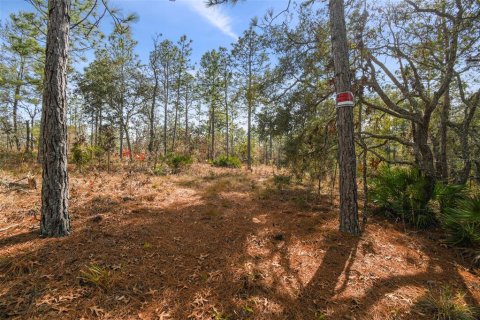 Land in Weeki Wachee, Florida № 1513719 - photo 6